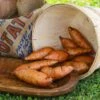 Porto Rico Sweet Potato -Annual Plants Popular Shop bunch porto ricos sweet potato plant 1803 detail