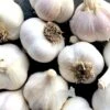 German White Garlic - 3 Bulb Pack