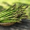 Millennium Asparagus Plant - 2-3 Year Crowns - 10-Pack 1 Millennium Asparagus Plant - 2-3 Year Crowns - 10-Pack -Annual Plants Popular Shop guelph millennium asparagus plant 437 detail