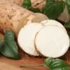 White Yam Sweet Potato -Annual Plants Popular Shop white yam sweet potato plant 2078 detail